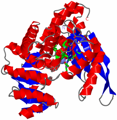 Image Asym. Unit - sites