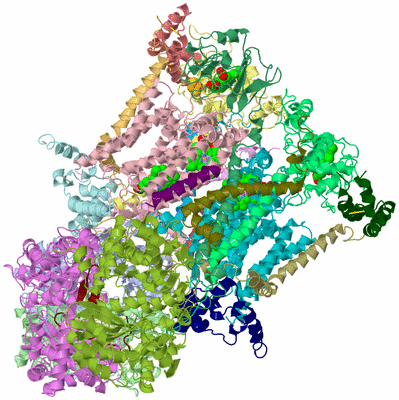 Image Asym./Biol. Unit