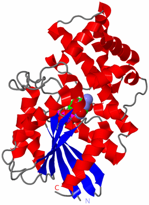 Image Asym./Biol. Unit