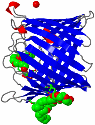 Image Asym. Unit - sites