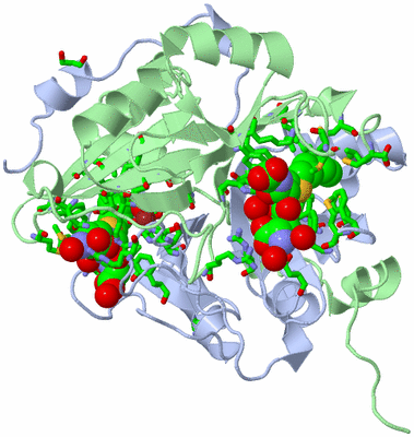 Image Biol. Unit 1 - sites