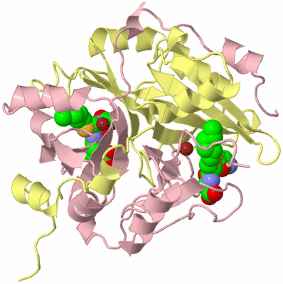 Image Biological Unit 2