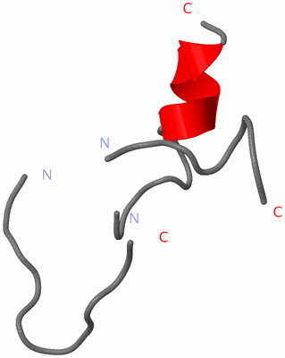 Image NMR Structure - all models