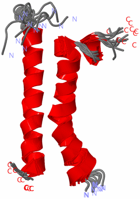 Image NMR Structure - all models