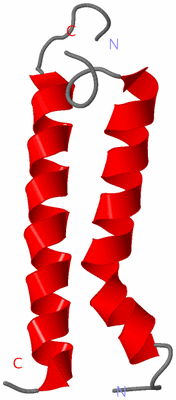 Image NMR Structure - model 1