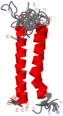 Image NMR Structure - all models