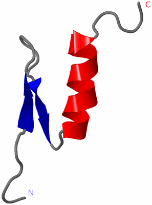 Image NMR Structure - model 1