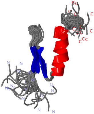 Image NMR Structure - all models