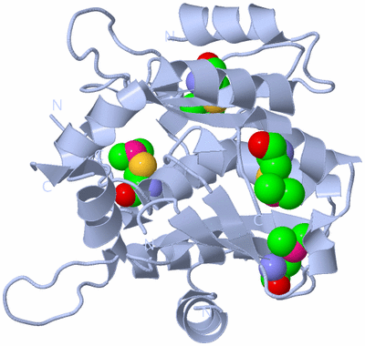 Image Biological Unit 1