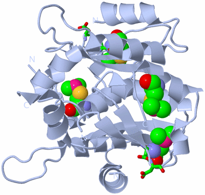 Image Biol. Unit 1 - sites