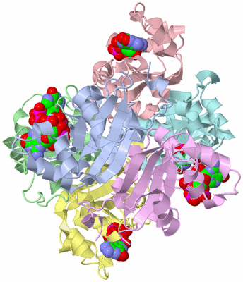 Image Asym./Biol. Unit