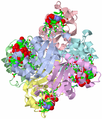 Image Asym./Biol. Unit - sites