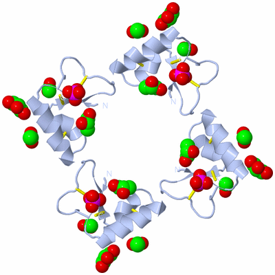 Image Biological Unit 1