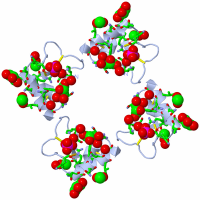 Image Biol. Unit 1 - sites