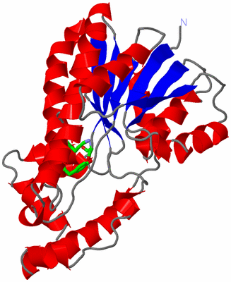 Image Asym. Unit - sites