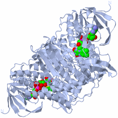 Image Biological Unit 1