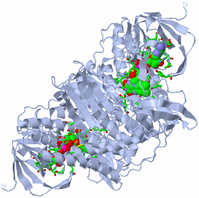 Image Biol. Unit 1 - sites