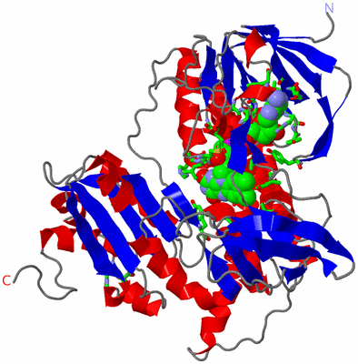 Image Asym. Unit - sites