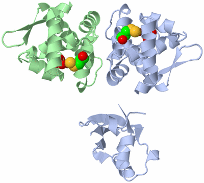 Image Asym./Biol. Unit