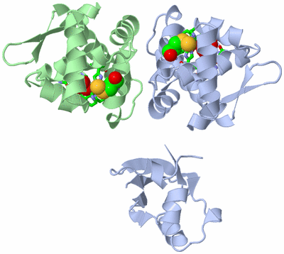 Image Asym./Biol. Unit - sites