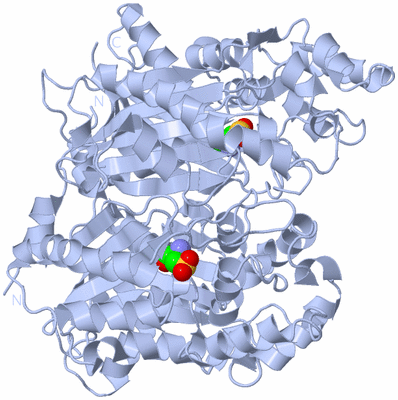 Image Biological Unit 1