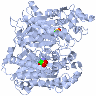 Image Biol. Unit 1 - sites