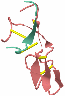 Image NMR Structure - model 1