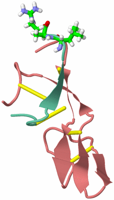 Image NMR Structure - model 1, sites