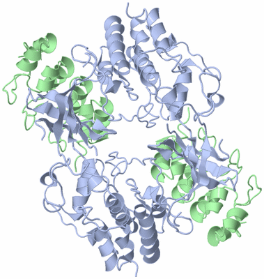 Image Biological Unit 1