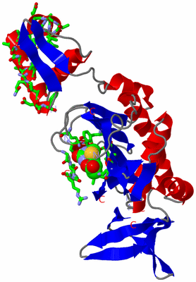 Image Asym./Biol. Unit - sites