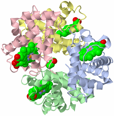 Image Asym./Biol. Unit