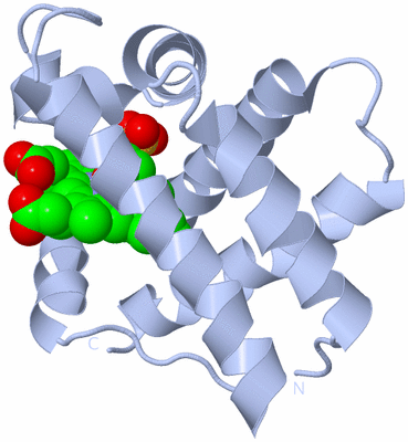 Image Biological Unit 1