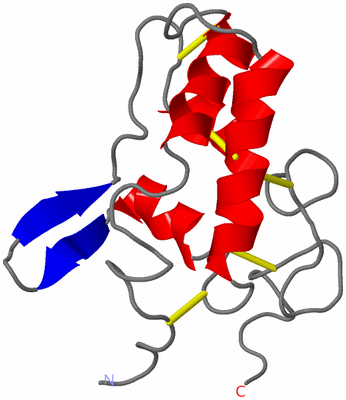 Image NMR Structure - model 1