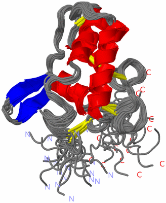 Image NMR Structure - all models