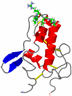 Image NMR Structure - model 1, sites