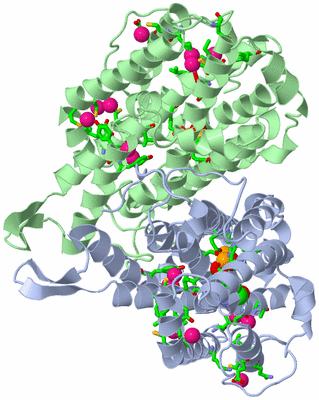 Image Asym./Biol. Unit - sites