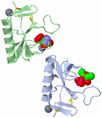Image Asymmetric Unit