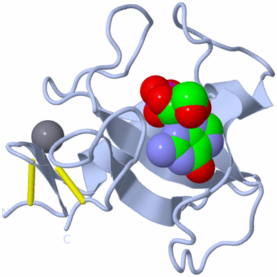 Image Biological Unit 1
