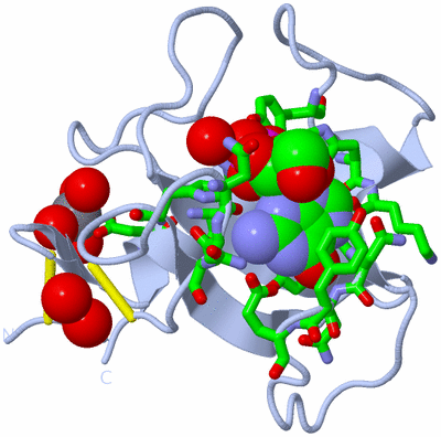 Image Biol. Unit 1 - sites