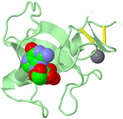 Image Biological Unit 2