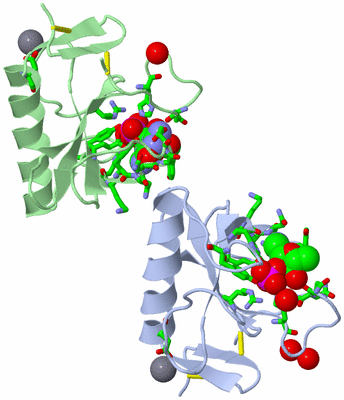 Image Asym. Unit - sites