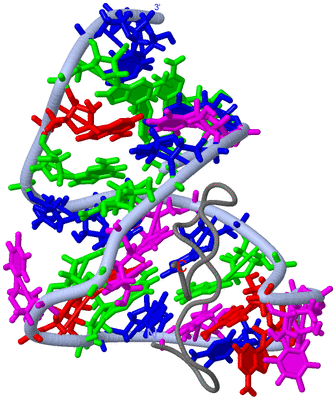 Image NMR Structure - model 1