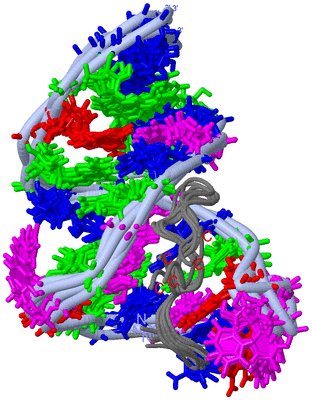 Image NMR Structure - all models