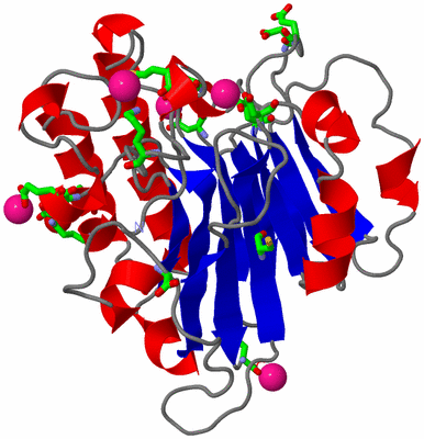 Image Asym./Biol. Unit - sites