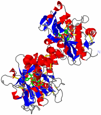 Image Asym./Biol. Unit - sites