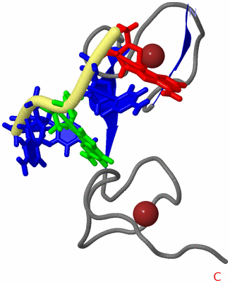 Image NMR Structure - model 1