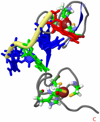 Image NMR Structure - model 1, sites