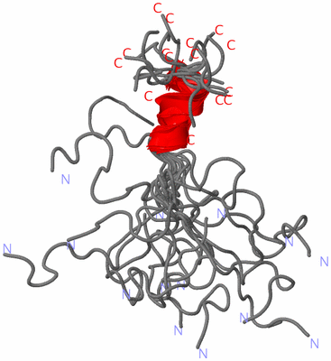 Image NMR Structure - all models