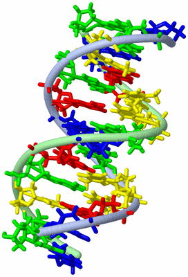 Image NMR Structure - model 1