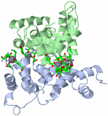 Image Asym./Biol. Unit - sites